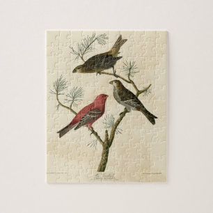 Pine Grosbeak von Audubons Vögeln von Amerika Puzzle