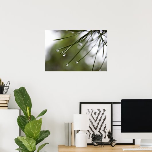 Pine-Injektionsnadeln mit Raindrops-Plakat Poster (Heimbüro)