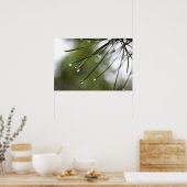 Pine-Injektionsnadeln mit Raindrops-Plakat Poster (Küche)