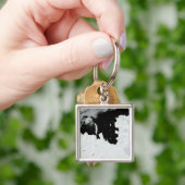 Pine Island Bay in West-Antarktis Schlüsselanhänger (Hand)