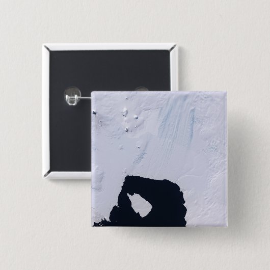 Pine Island Glacier Button (Vorne & Hinten)