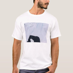 Pine Island Glacier T-Shirt