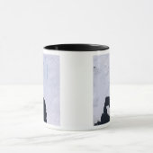 Pine Island Glacier Tasse (Zentrum)