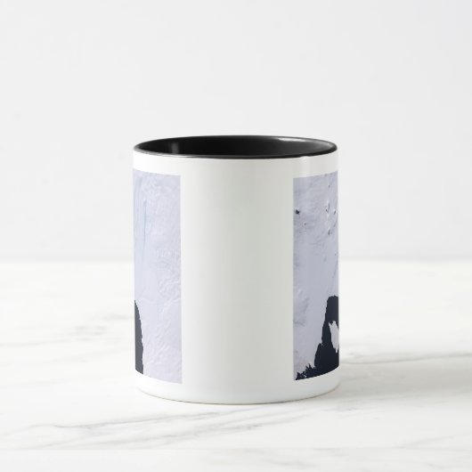 Pine Island Glacier Tasse (Zentrum)