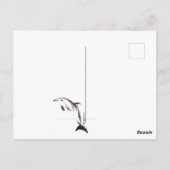 Pine Island Sanibel Captiva Islands Florida Karte (Rückseite)