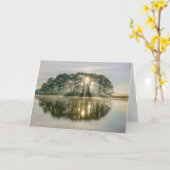 Pine Island Sunray Karte (Gelbe Blume)