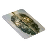 Pine Island Sunray Magnet (Rechte Seite)