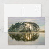 Pine Island Sunray Postkarte (Vorne/Hinten)