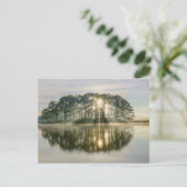 Pine Island Sunray Postkarte (Stehend Vorderseite)