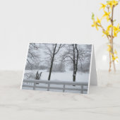 Pine Lake #2 Cove Winter Karte (Gelbe Blume)