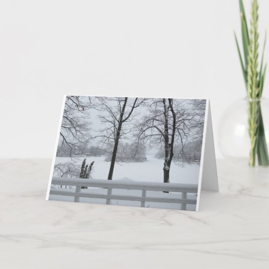 Pine Lake #2 Cove Winter Karte (Vorderseite)