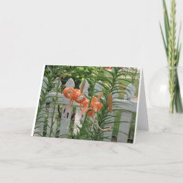 Pine Lake Lilies Karte