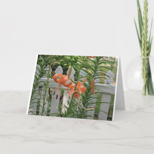 Pine Lake Lilies Karte (Vorderseite)