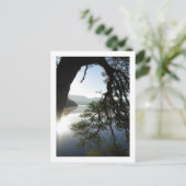 Pine Leaning: Friar's Crag, Derwentwater Postcard Postkarte (Stehend Vorderseite)