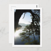 Pine Leaning: Friar's Crag, Derwentwater Postcard Postkarte (Vorne/Hinten)