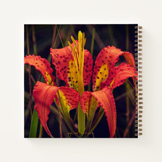 Pine Lily Custom Spiral Notebook Notizblock (Rückseite)