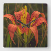 "Pine Lily" Quadratische Wanduhr (Vorderseite)