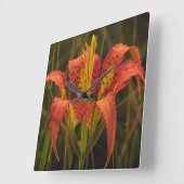 "Pine Lily" Quadratische Wanduhr (Winkel)