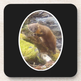 Pine Marten auf dem 6-Untersetzer-Set "Blockharz" Getränkeuntersetzer