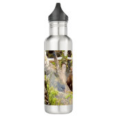 Pine Marten auf Log Edelstahlflasche (Links)