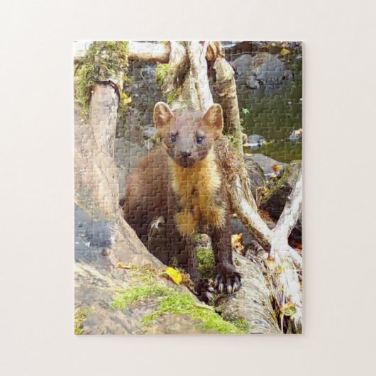 Pine Marten auf Log Editable Puzzle (Vertikal)