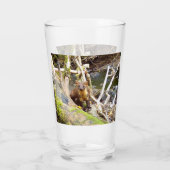 Pine Marten auf Log Glas (Rückseite)