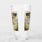 Pine Marten auf Log Glas (Links)