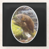 Pine Marten auf Log Glass Untersetzer (Vorderseite)