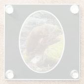 Pine Marten auf Log Glass Untersetzer (Rückseite)