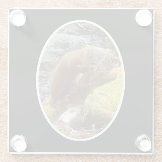 Pine Marten auf Log Glass Untersetzer (Rückseite)