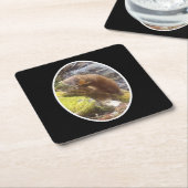 Pine Marten auf Log Paper Untersetzer (angewinkelt)