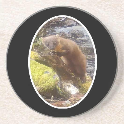 Pine Marten auf Log Sandstone Untersetzer (Vorne)