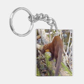 Pine Marten auf Log Schlüsselanhänger (Vorderseite links)