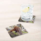 Pine Marten auf Log-Untersetzer Rechteckiger Pappuntersetzer (Vor Ort)