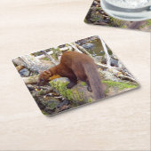 Pine Marten auf Log-Untersetzer Rechteckiger Pappuntersetzer (angewinkelt)