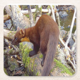 Pine Marten auf Log-Untersetzer Rechteckiger Pappuntersetzer