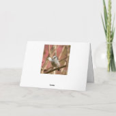 Pine marten Faltkarte Karte (Rückseite)