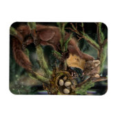 Pine Marten Magnet (Horizontal)