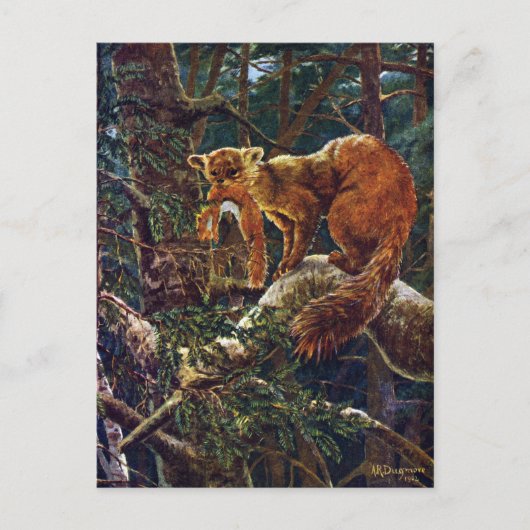 Pine Marten mit Prey Postkarte (Vorderseite)