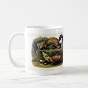 Pine Marten (Mustela Martes) Kaffeetasse
