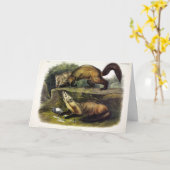 Pine Marten (Mustela Martes) Karte (Gelbe Blume)