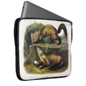 Pine Marten (Mustela Martes) Laptopschutzhülle (Vorne Rechts)