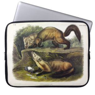Pine Marten (Mustela Martes) Laptopschutzhülle