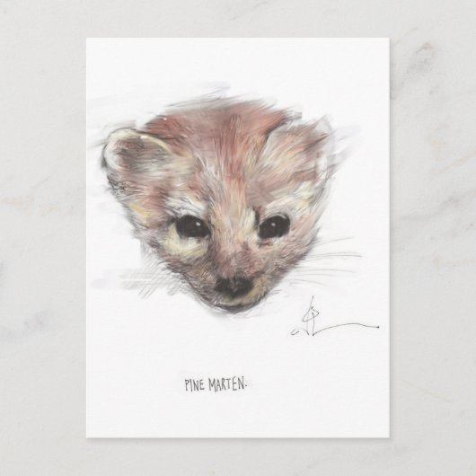 Pine Marten Postcard Postkarte (Vorderseite)