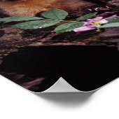 Pine Marten Poster (Ecke)