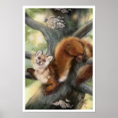Pine Marten Poster (Vorne)