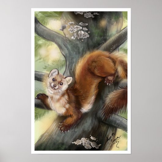 Pine Marten Poster (Vorne)