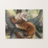 Pine Marten Puzzle (Horizontal)