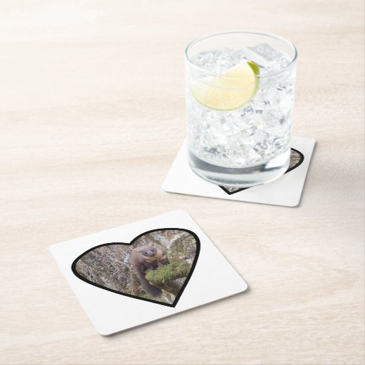 Pine Marten Untersetzer (Vor Ort)