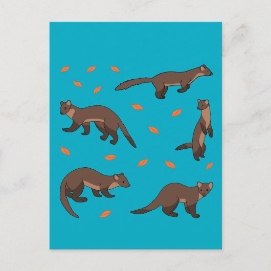 Pine Martens Postkarte (Vorderseite)